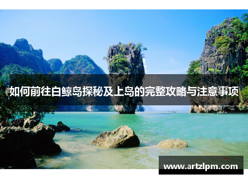 如何前往白鲸岛探秘及上岛的完整攻略与注意事项